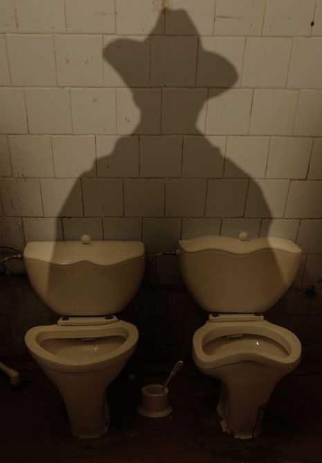 Toilets can be different (103 pics)