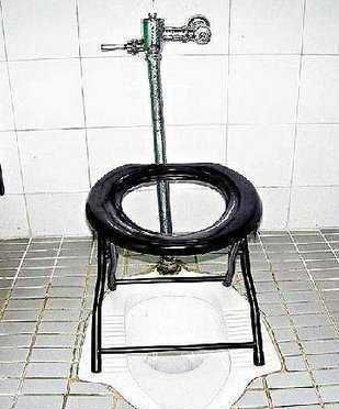 Toilets can be different (103 pics)