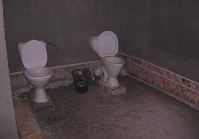 Toilets can be different (103 pics)