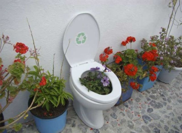 Toilets can be different (103 pics)