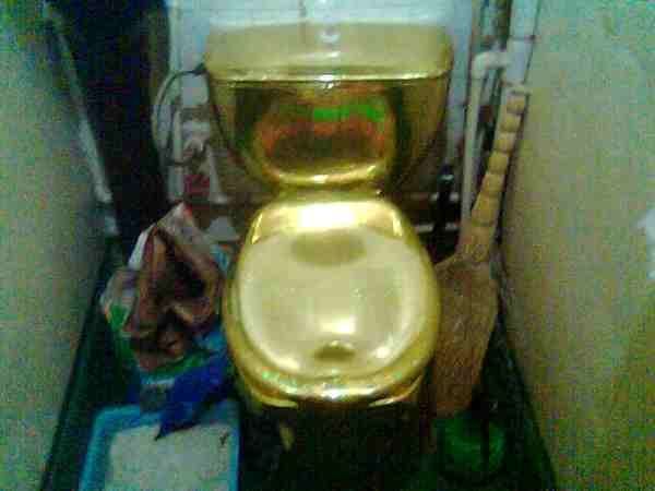 Toilets can be different (103 pics)