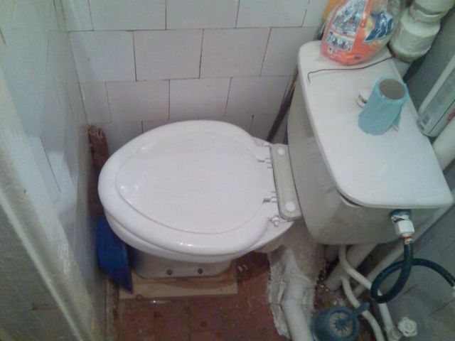 Toilets can be different (103 pics)