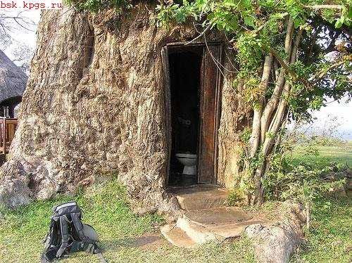 Toilets can be different (103 pics)