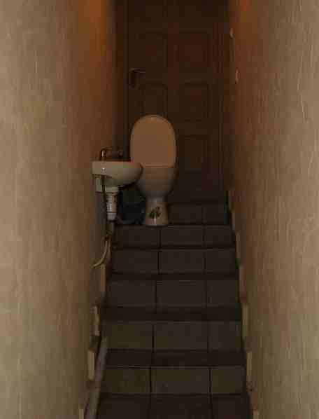 Toilets can be different (103 pics)