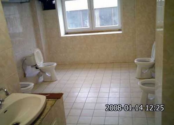 Toilets can be different (103 pics)