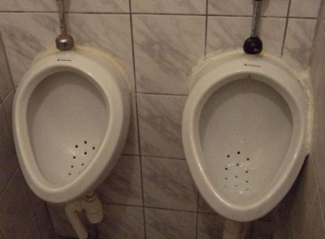 Toilets can be different (103 pics)