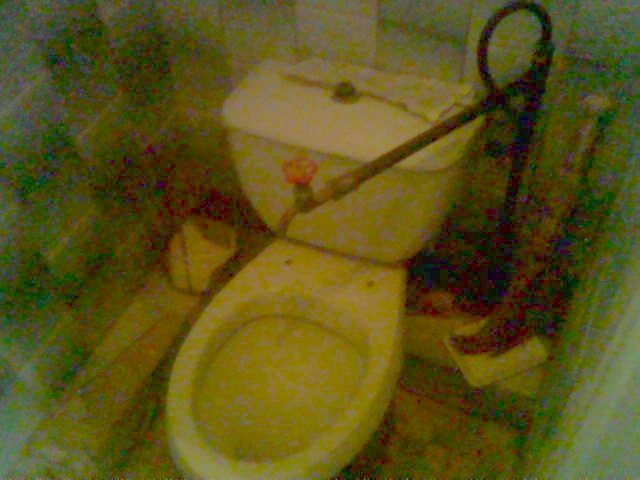 Toilets can be different (103 pics)