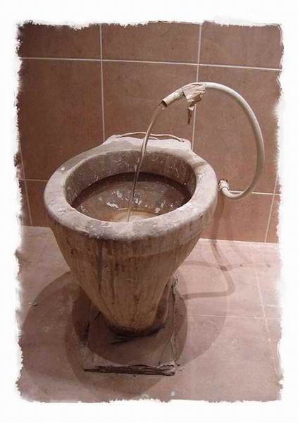 Toilets can be different (103 pics)
