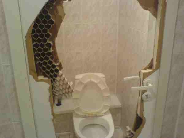 Toilets can be different (103 pics)