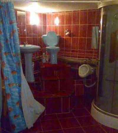 Toilets can be different (103 pics)