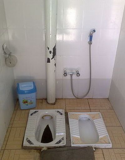 Toilets can be different (103 pics)