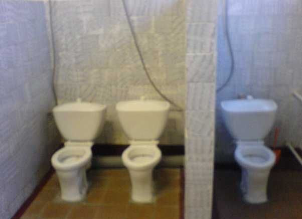 Toilets can be different (103 pics)