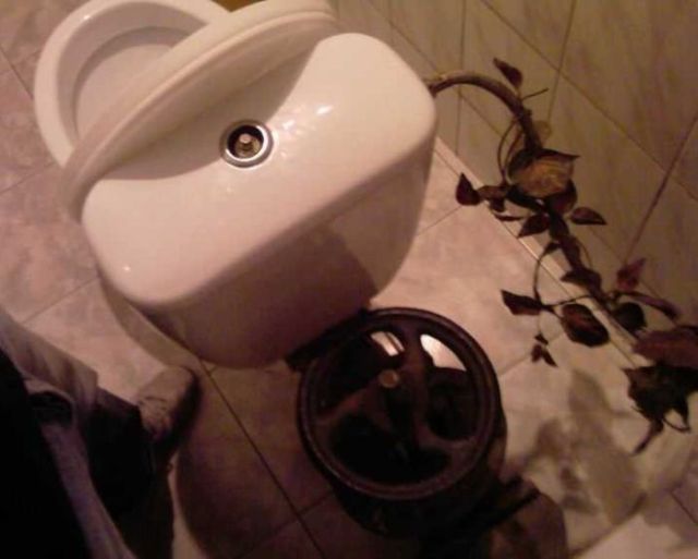 Toilets can be different (103 pics)