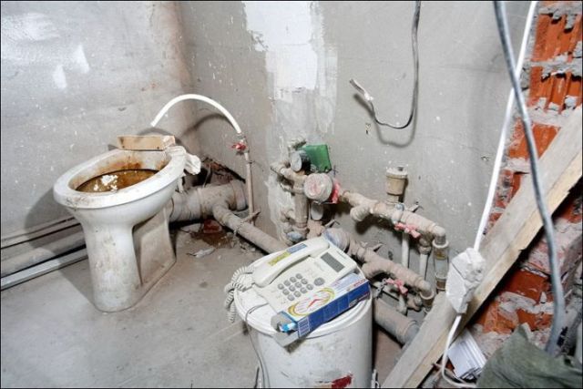 Toilets can be different (103 pics)