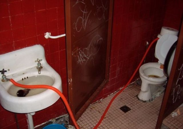 Toilets can be different (103 pics)