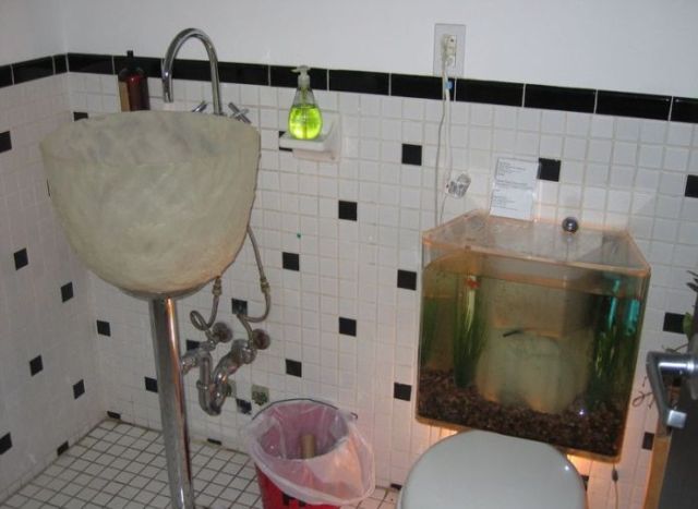 Toilets can be different (103 pics)