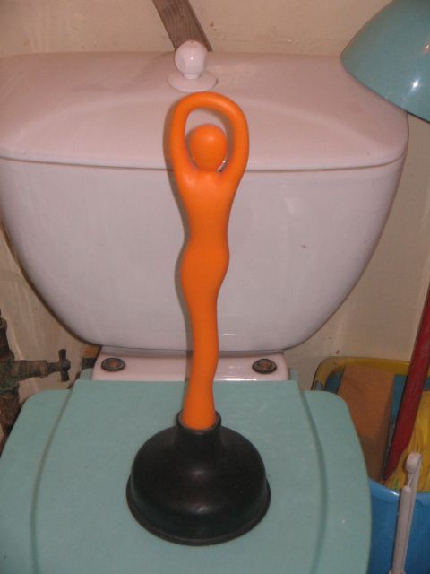 Toilets can be different (103 pics)