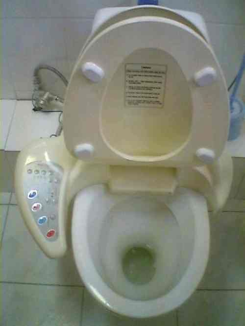 Toilets can be different (103 pics)