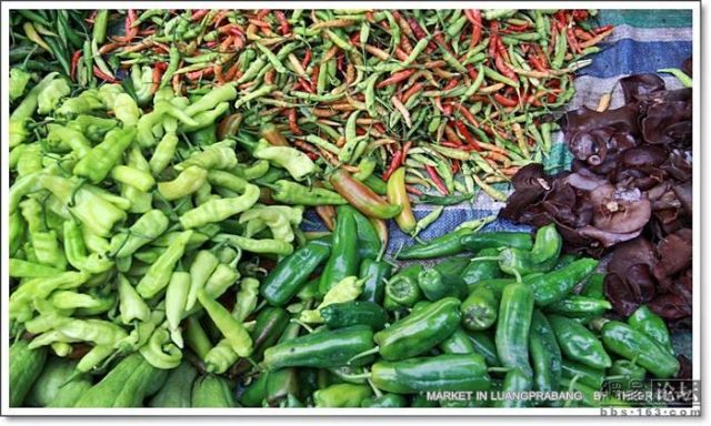 Asian morning market (19 pics)