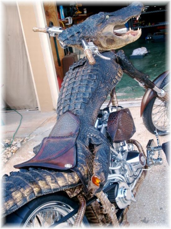 Unusual bike! (3 pics)