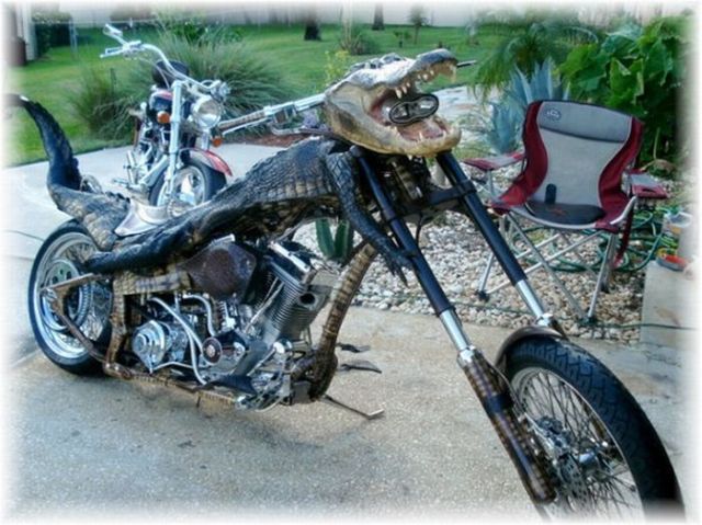 Unusual bike! (3 pics)