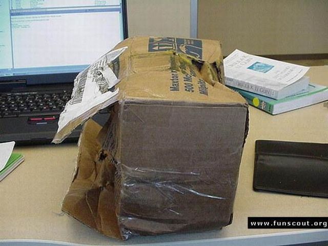 Why you shouldn’t order a graphics card by mail (19 pics)