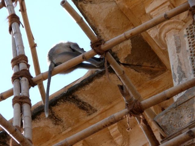 Bamboo scaffolding in Asia (66 pics)