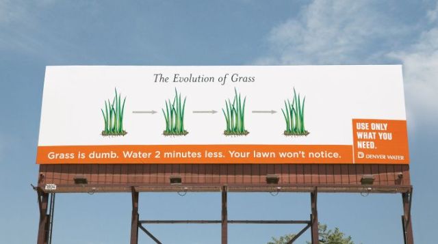 Use only what you need. Grass is dumb! (4 pics)