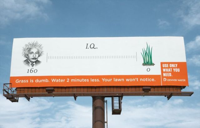 Use only what you need. Grass is dumb! (4 pics)