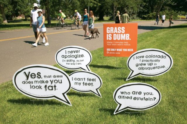 Use only what you need. Grass is dumb! (4 pics)