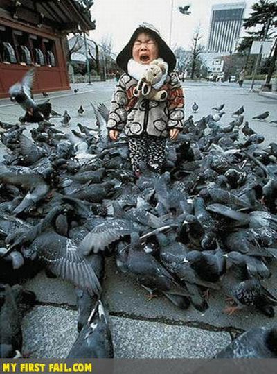 There’s always a first time for everything (42 pics)