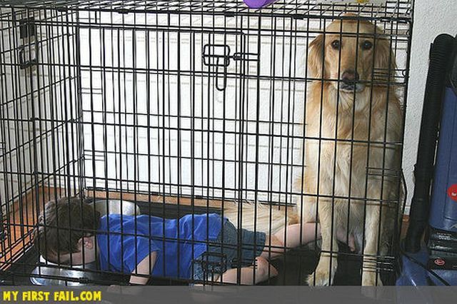 There’s always a first time for everything (42 pics)