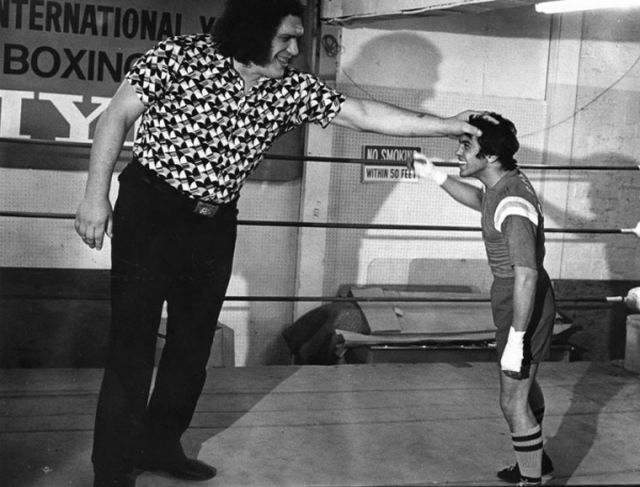 André the Giant (14 pics)
