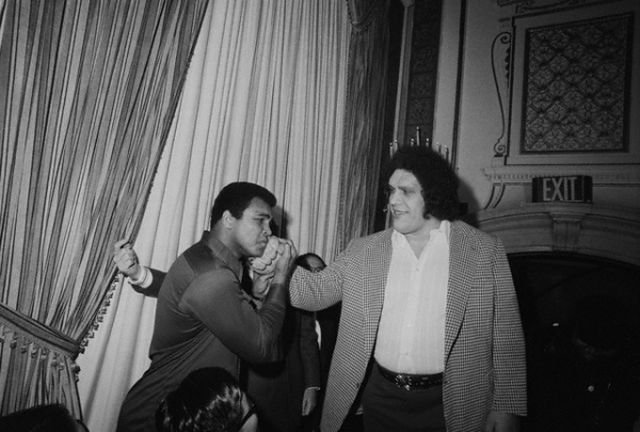 André the Giant (14 pics)