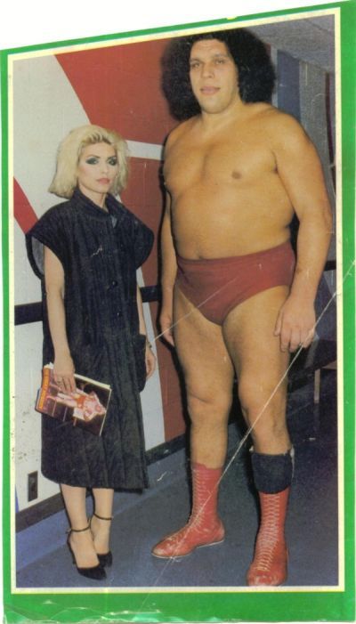 André the Giant (14 pics)