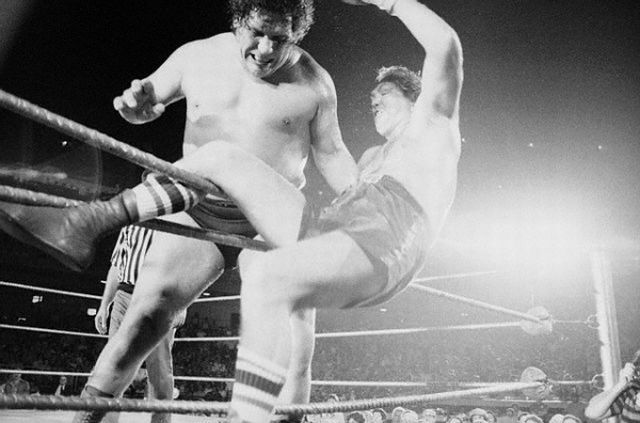 André the Giant (14 pics)