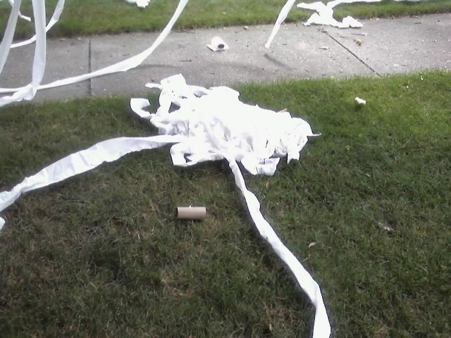 Huge Toilet Paper prank on a home in Pleasant Ridge (11 pics)