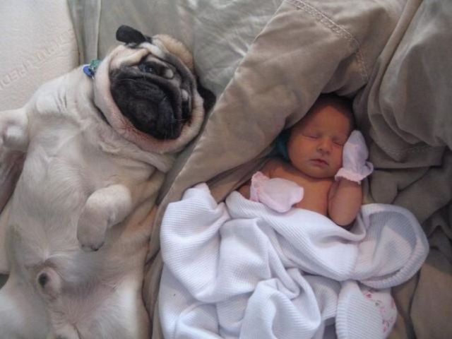 Super cute trio (4 pics)