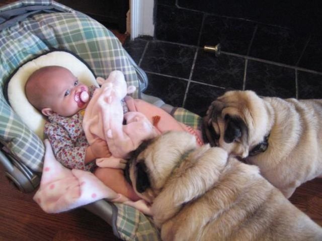 Super cute trio (4 pics)