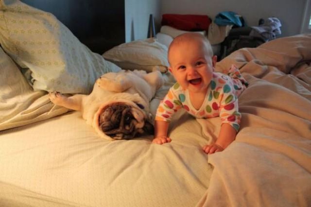 Super cute trio (4 pics)