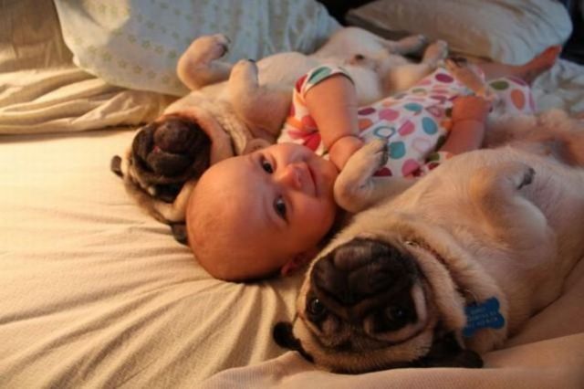 Super cute trio (4 pics)