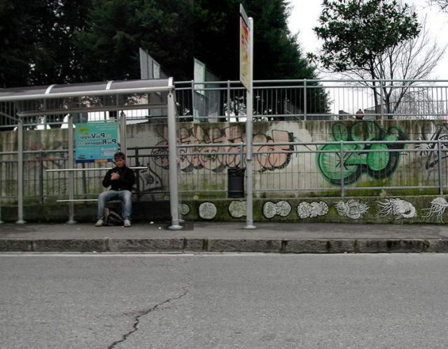 Panoramic picture of evolution