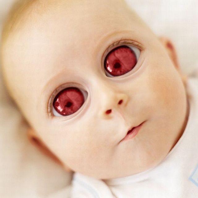 Creepy photomontage (16 pics)