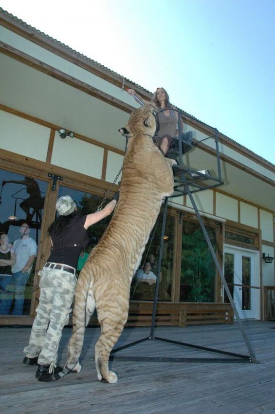 Daily picdump (127 pics)