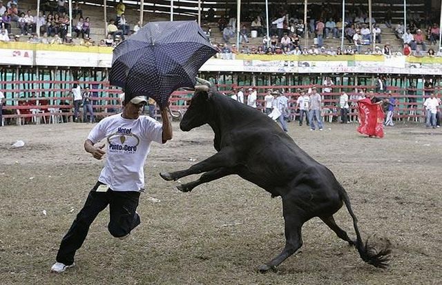 Daily picdump (127 pics)