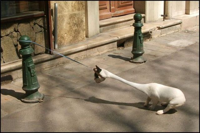 Daily picdump (127 pics)
