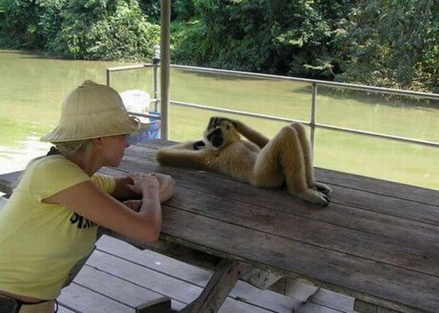 Daily picdump (127 pics)