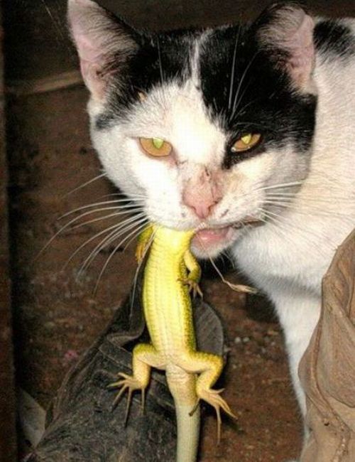 Daily picdump (127 pics)