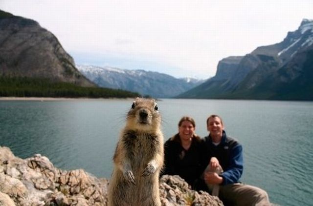 Daily picdump (127 pics)