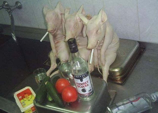 Daily picdump (127 pics)
